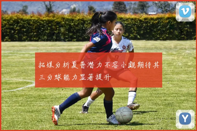 拓媒分析夏普潜力不容小觑期待其三分球能力显著提升